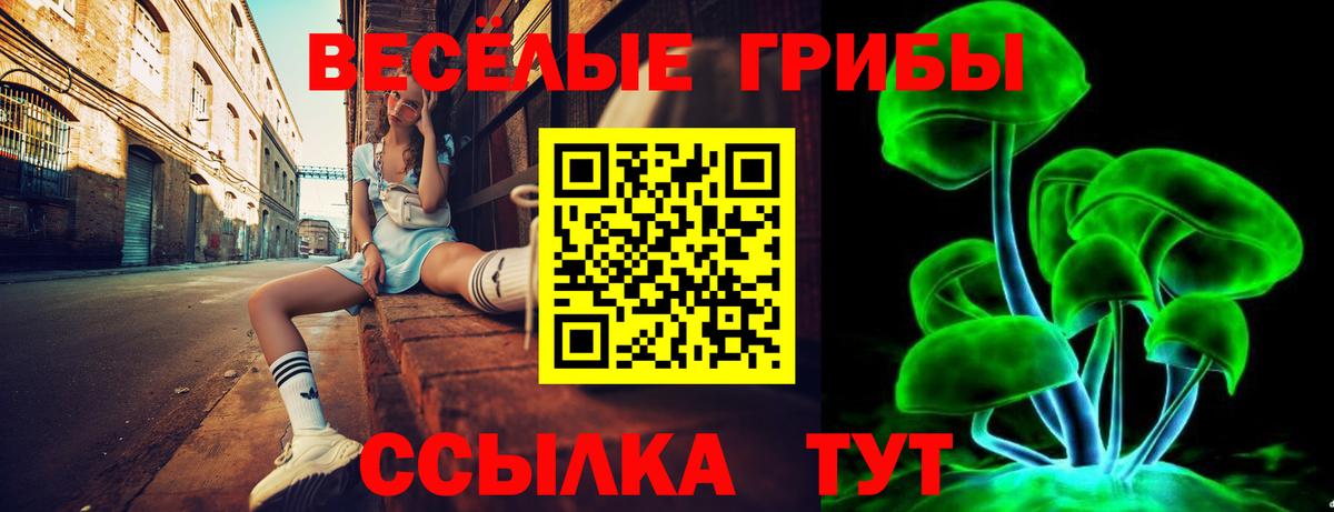 Псилоцибиновые грибы мицелий Сланцы